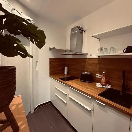 Hundertwasser * إرفورت