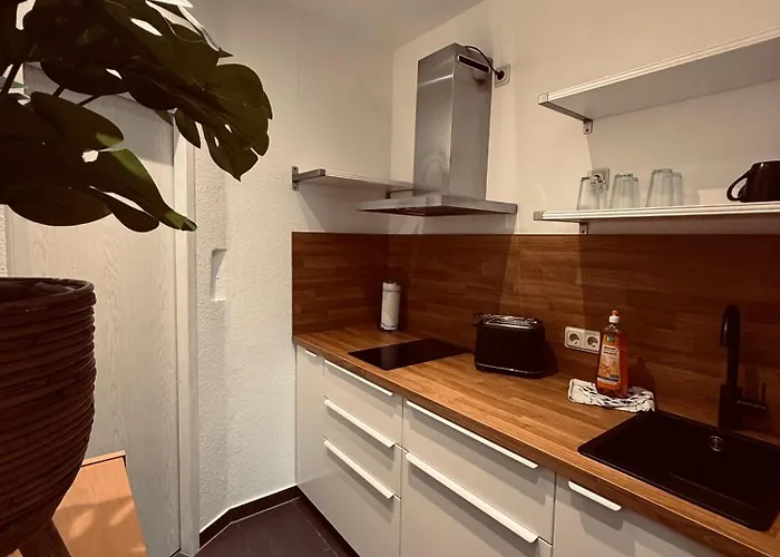 Hundertwasser * إرفورت